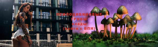 каннабис Абаза